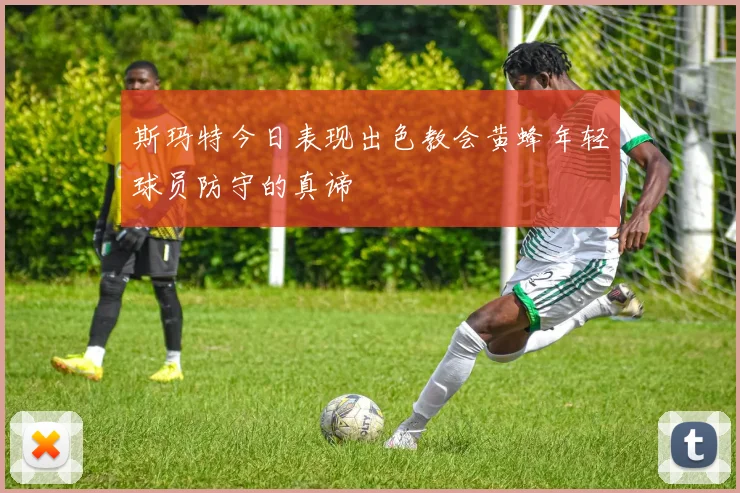 斯玛特今日表现出色教会黄蜂年轻球员防守的真谛