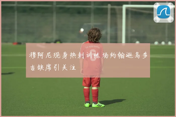 穆阿尼现身热刺训练场约翰逊乌多吉缺席引关注