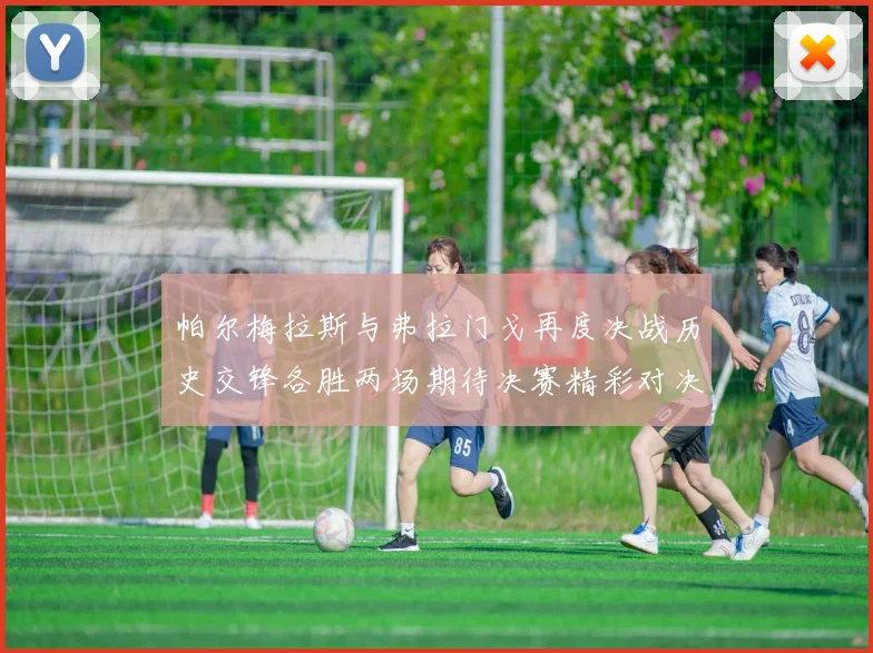 帕尔梅拉斯与弗拉门戈再度决战历史交锋各胜两场期待决赛精彩对决