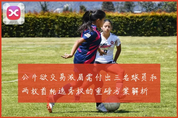 公牛欲交易浓眉需付出三名球员和两枚首轮选秀权的重磅方案解析